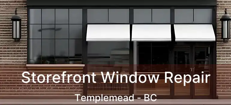  Storefront Window Repair Templemead - BC
