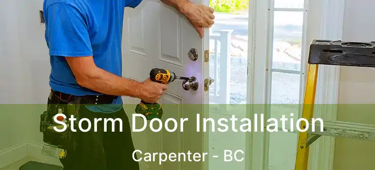  Storm Door Installation Carpenter - BC