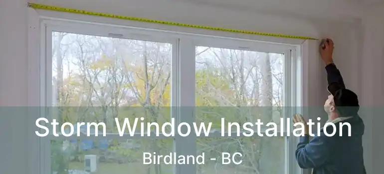 Storm Window Installation Birdland - BC
