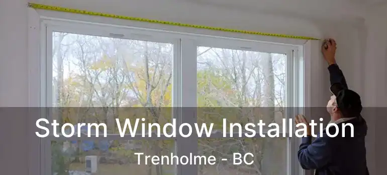  Storm Window Installation Trenholme - BC