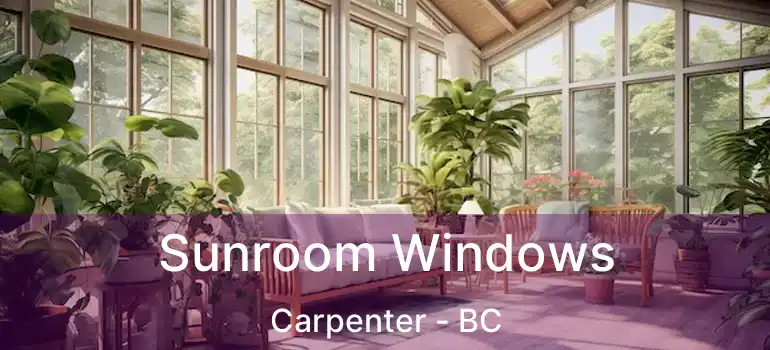  Sunroom Windows Carpenter - BC