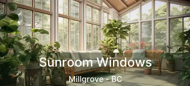  Sunroom Windows Millgrove - BC