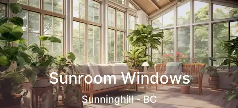  Sunroom Windows Sunninghill - BC