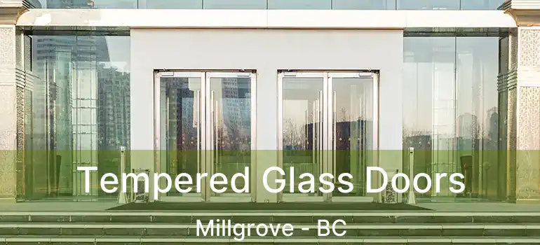  Tempered Glass Doors Millgrove - BC