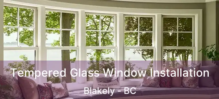  Tempered Glass Window Installation Blakely - BC