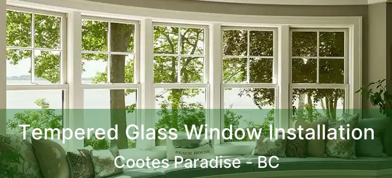  Tempered Glass Window Installation Cootes Paradise - BC