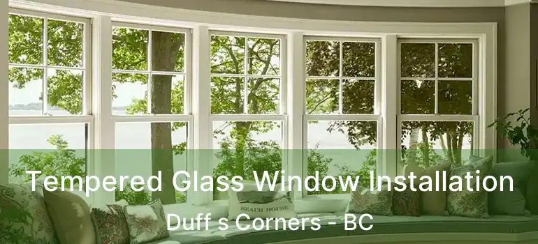  Tempered Glass Window Installation Duff s Corners - BC