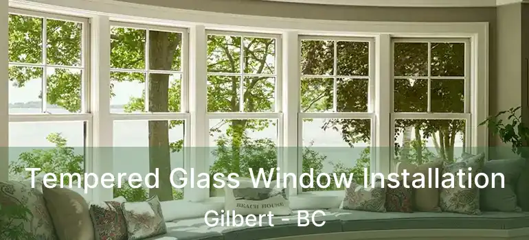  Tempered Glass Window Installation Gilbert - BC