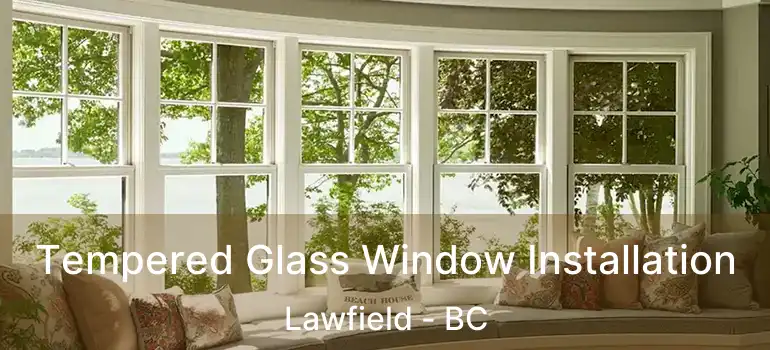  Tempered Glass Window Installation Lawfield - BC