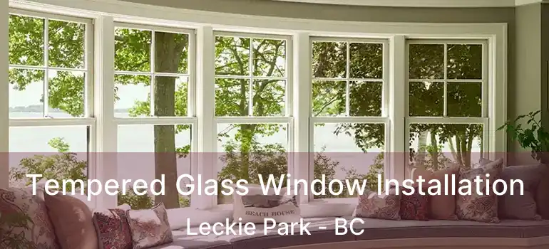  Tempered Glass Window Installation Leckie Park - BC