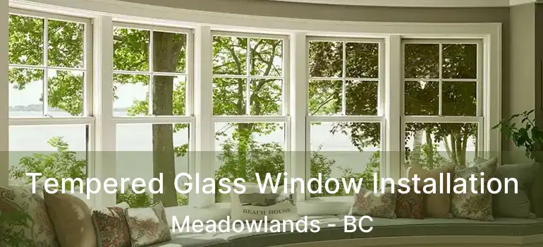  Tempered Glass Window Installation Meadowlands - BC