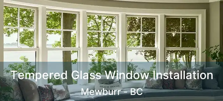  Tempered Glass Window Installation Mewburr - BC
