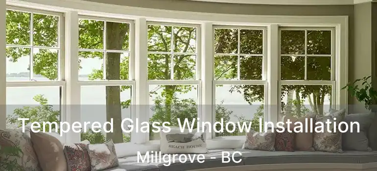  Tempered Glass Window Installation Millgrove - BC