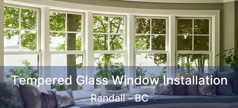  Tempered Glass Window Installation Randall - BC