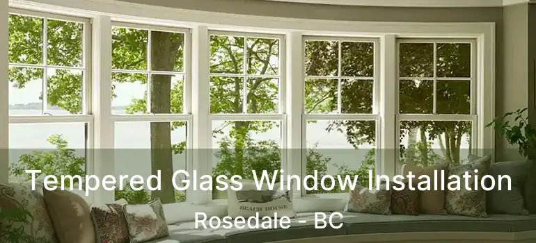  Tempered Glass Window Installation Rosedale - BC