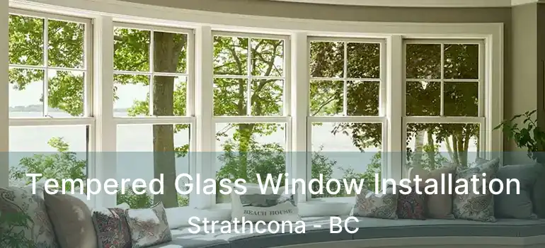  Tempered Glass Window Installation Strathcona - BC