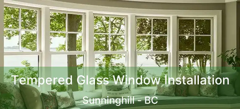  Tempered Glass Window Installation Sunninghill - BC