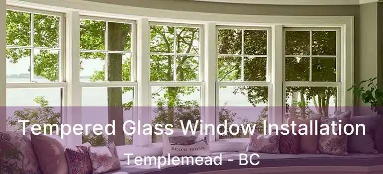 Tempered Glass Window Installation Templemead - BC