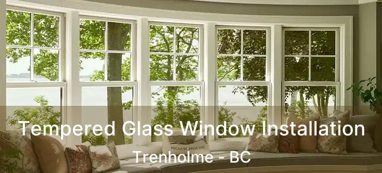  Tempered Glass Window Installation Trenholme - BC