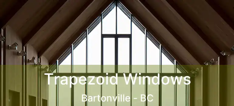  Trapezoid Windows Bartonville - BC
