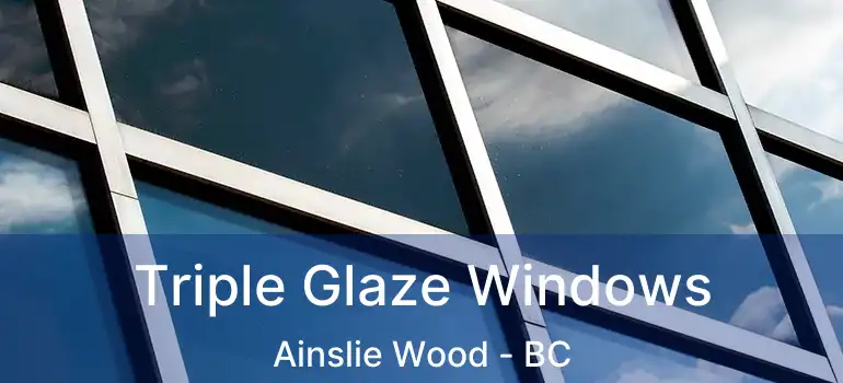  Triple Glaze Windows Ainslie Wood - BC