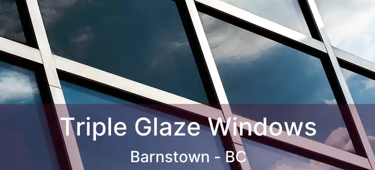  Triple Glaze Windows Barnstown - BC