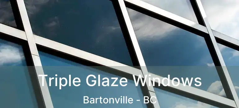  Triple Glaze Windows Bartonville - BC