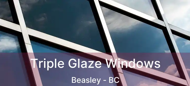 Triple Glaze Windows Beasley - BC