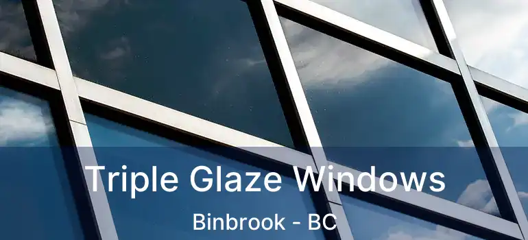  Triple Glaze Windows Binbrook - BC