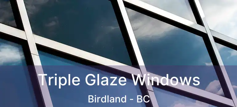  Triple Glaze Windows Birdland - BC