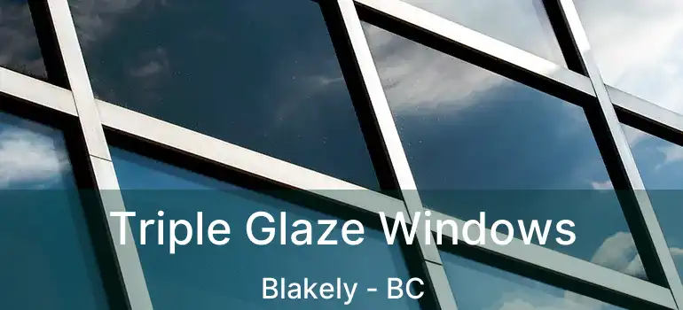  Triple Glaze Windows Blakely - BC