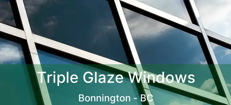  Triple Glaze Windows Bonnington - BC