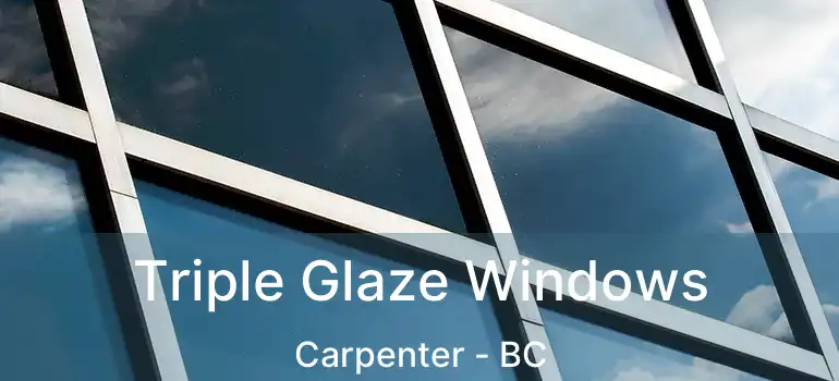  Triple Glaze Windows Carpenter - BC