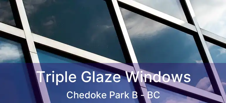 Triple Glaze Windows Chedoke Park B - BC