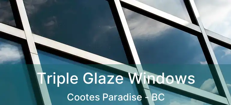  Triple Glaze Windows Cootes Paradise - BC