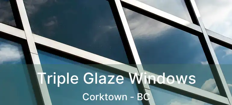  Triple Glaze Windows Corktown - BC