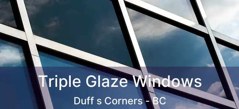  Triple Glaze Windows Duff s Corners - BC