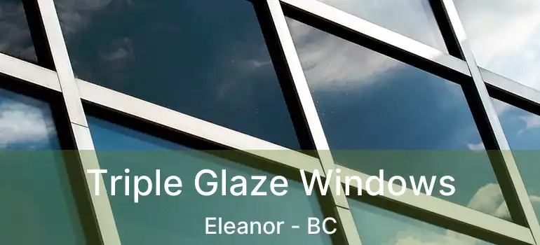  Triple Glaze Windows Eleanor - BC