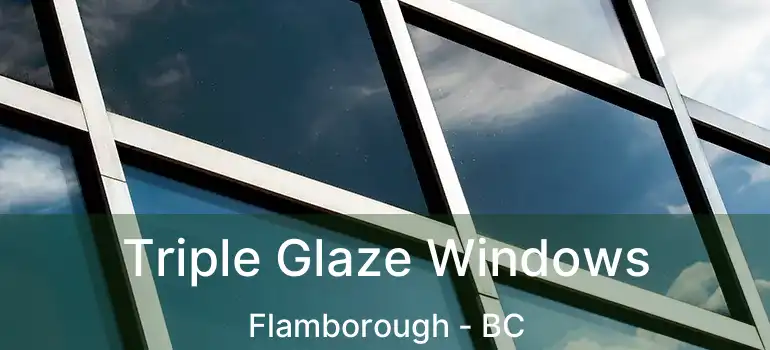  Triple Glaze Windows Flamborough - BC