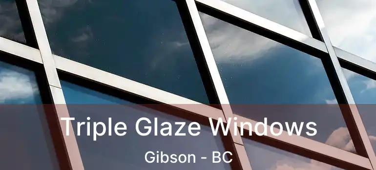  Triple Glaze Windows Gibson - BC