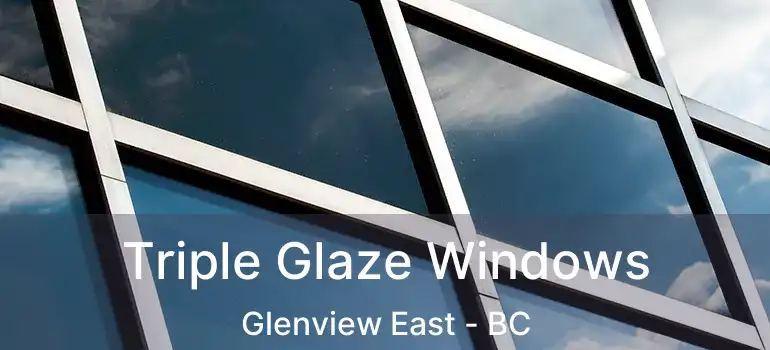  Triple Glaze Windows Glenview East - BC
