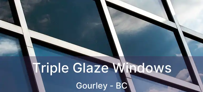  Triple Glaze Windows Gourley - BC
