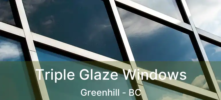  Triple Glaze Windows Greenhill - BC