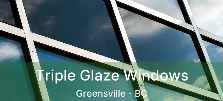  Triple Glaze Windows Greensville - BC