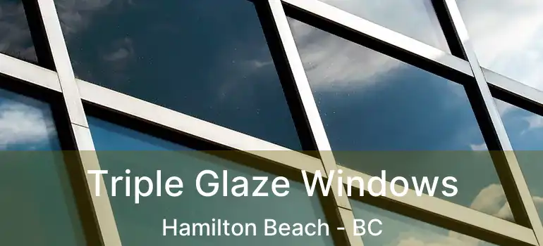  Triple Glaze Windows Hamilton Beach - BC