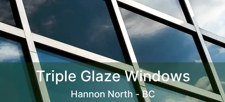  Triple Glaze Windows Hannon North - BC