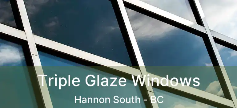  Triple Glaze Windows Hannon South - BC