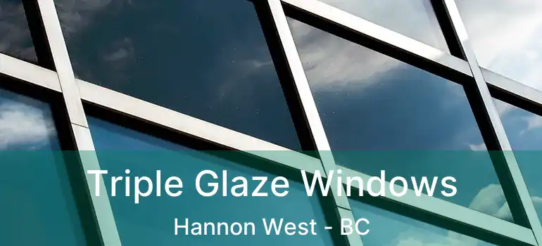  Triple Glaze Windows Hannon West - BC