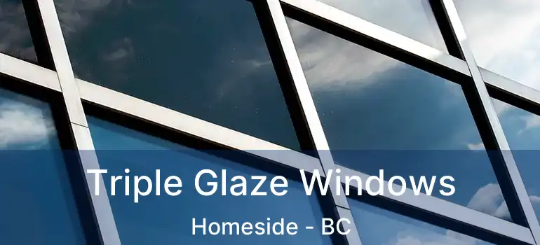  Triple Glaze Windows Homeside - BC