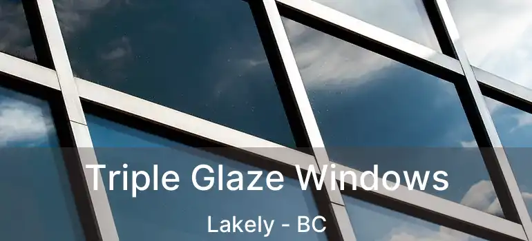  Triple Glaze Windows Lakely - BC